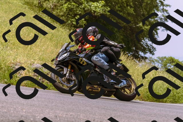 202506151115-_DSC9548_d1_