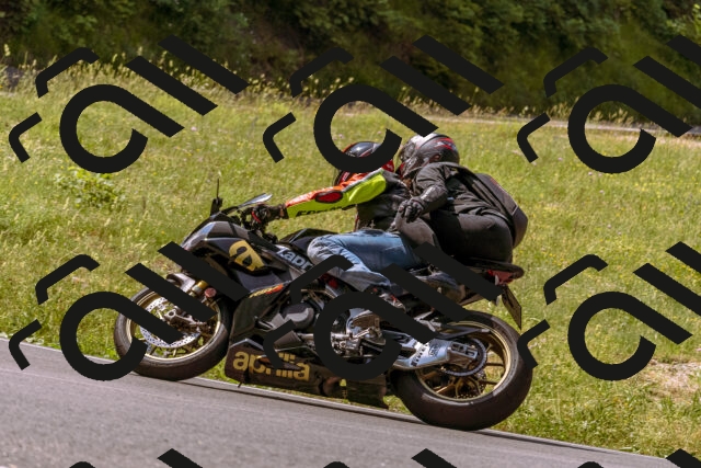 202506151115-_DSC9550_d1_