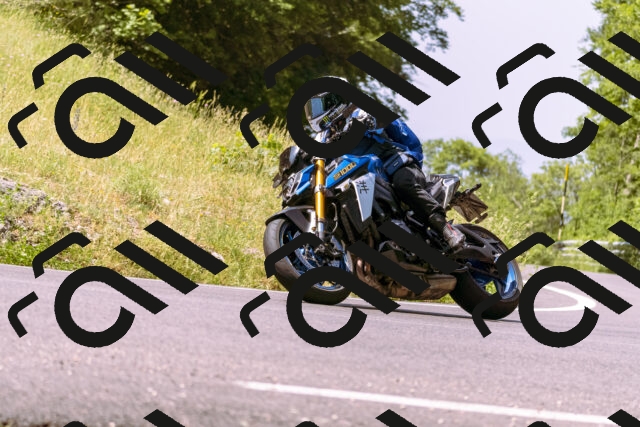 202506151115-_DSC9552_d1_