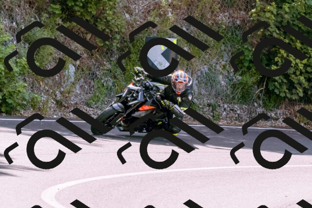 202506151118-_DSC9563_d1_