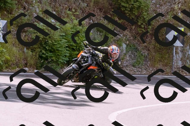 202506151118-_DSC9564_d1_