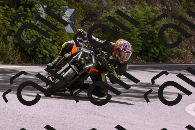 202506151118-_DSC9566_d1_