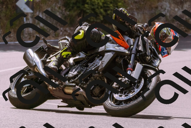 202506151118-_DSC9568_d1_