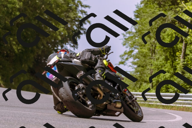 202506151118-_DSC9571_d1_