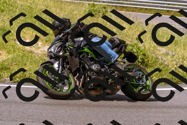 202506151119-_DSC9575_d1_