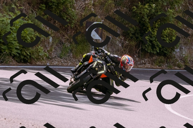 202506151121-_DSC9596_d1_