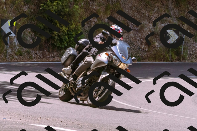 202506151124-_DSC9626_d1_