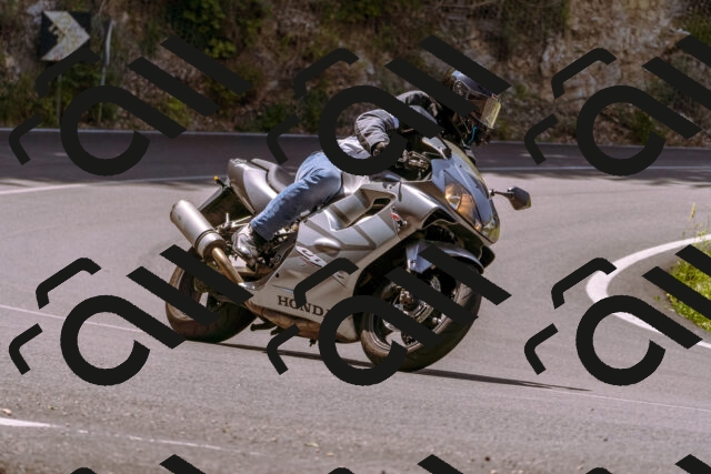 202506151129-_DSC9665_d1_