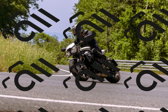 202506151129-_DSC9669_d1_