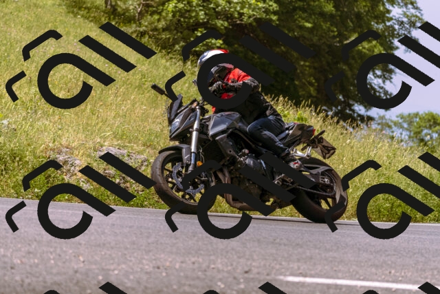 202506151130-_DSC9676_d1_