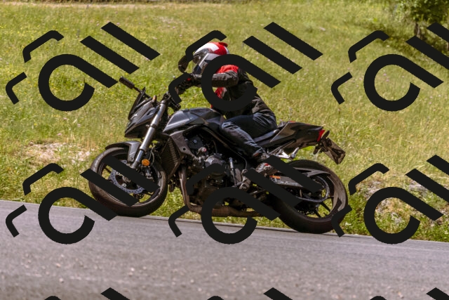 202506151130-_DSC9677_d1_