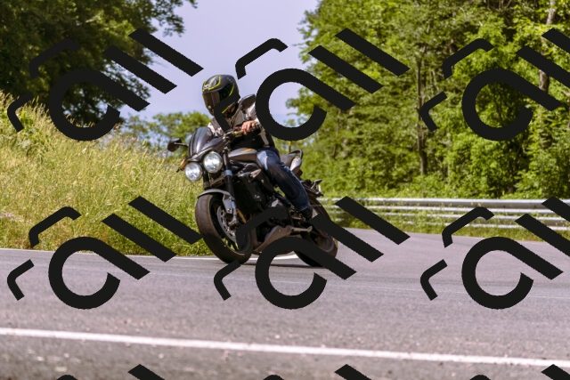 202506151130-_DSC9678_d1_