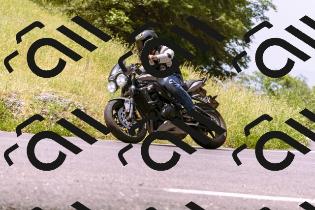 202506151130-_DSC9679_d1_