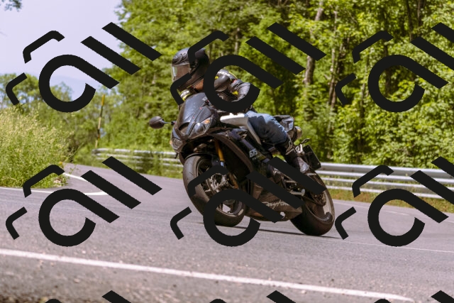 202506151132-_DSC9690_d1_