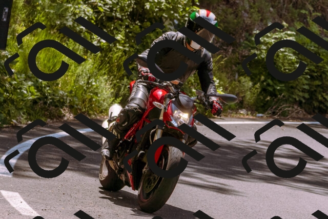 202506151136-_DSC9704_d1_