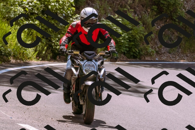 202506151136-_DSC9705_d1_