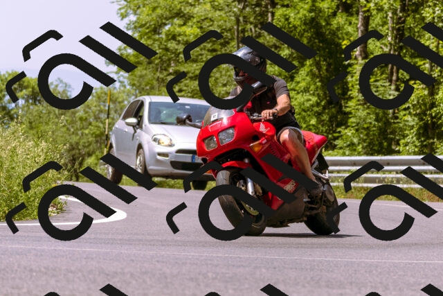 202506151140-_DSC9719_d1_