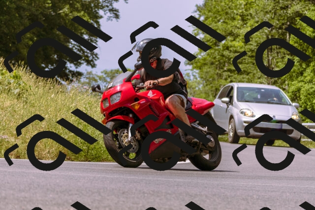 202506151140-_DSC9720_d1_