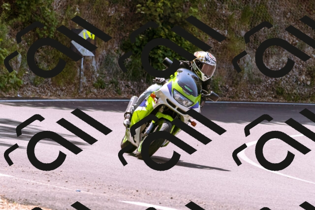 202506151143-_DSC9728_d1_