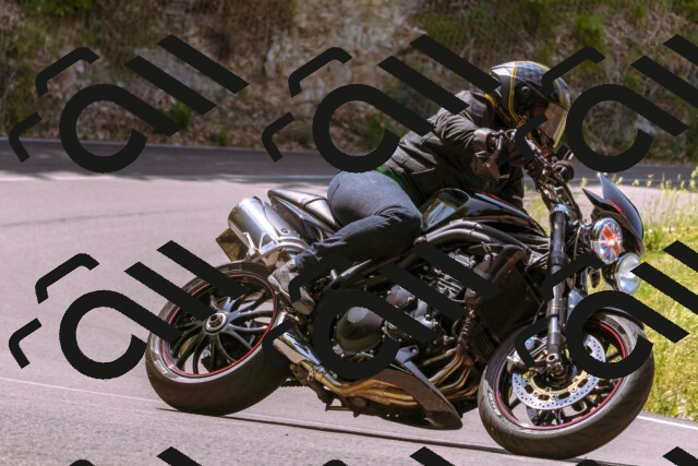 202506151143-_DSC9733_d1_