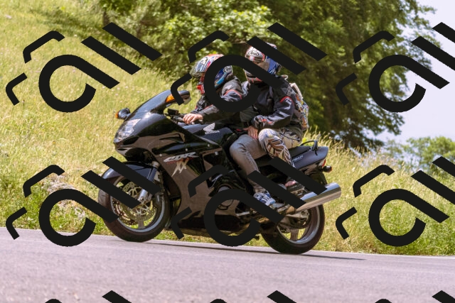 202506151146-_DSC9782_d1_