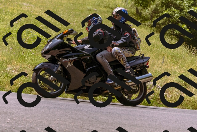 202506151146-_DSC9783_d1_