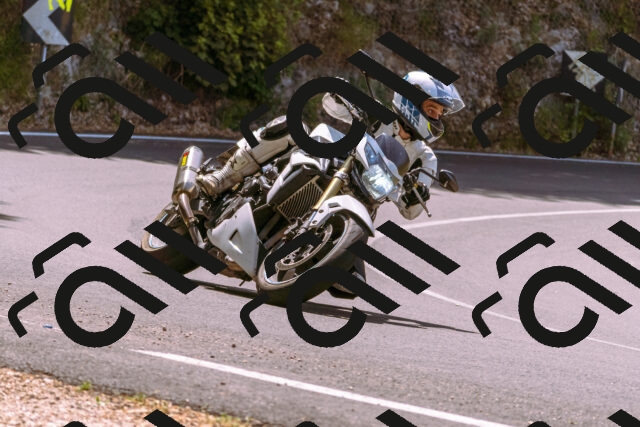 202506151147-_DSC9785_d1_