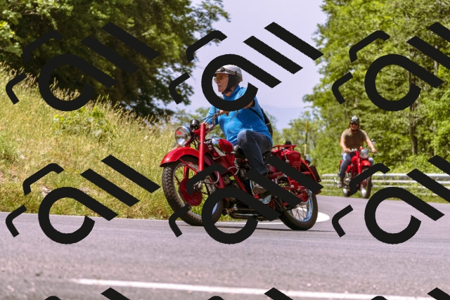 202506151147-_DSC9791_d1_