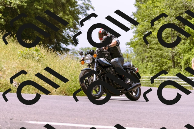 202506151147-_DSC9793_d1_