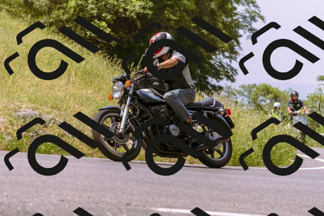 202506151147-_DSC9794_d1_