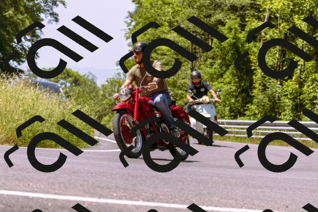 202506151147-_DSC9795_d1_