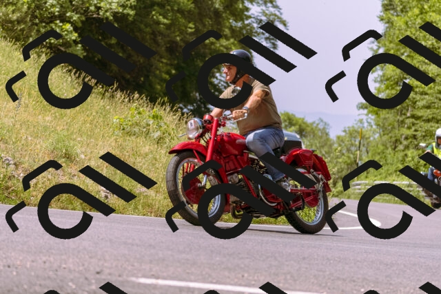 202506151147-_DSC9796_d1_