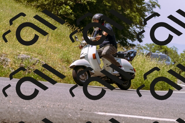 202506151147-_DSC9798_d1_