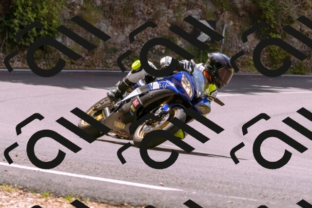 202506151148-_DSC9804_d1_