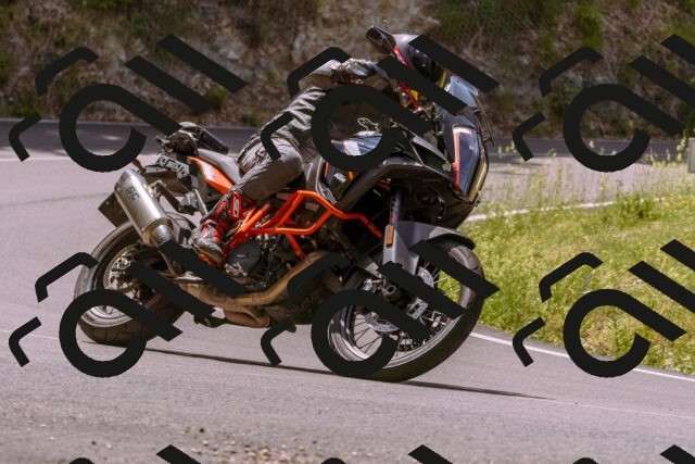 202506151148-_DSC9807_d1_