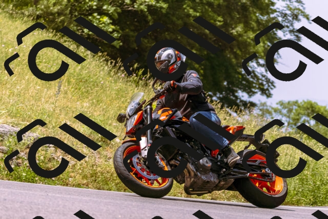 202506151150-_DSC9810_d1_