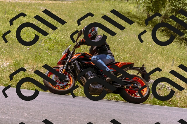 202506151150-_DSC9811_d1_