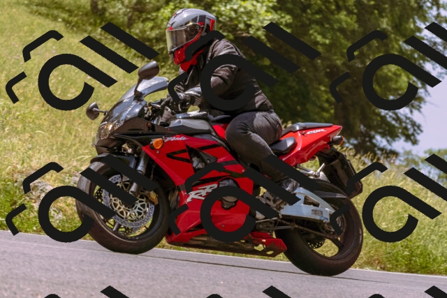 202506151150-_DSC9815_d1_