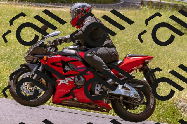 202506151150-_DSC9816_d1_