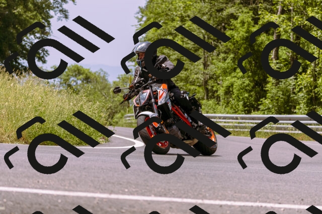 202506151155-_DSC9825_d1_