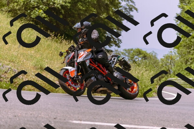 202506151155-_DSC9826_d1_