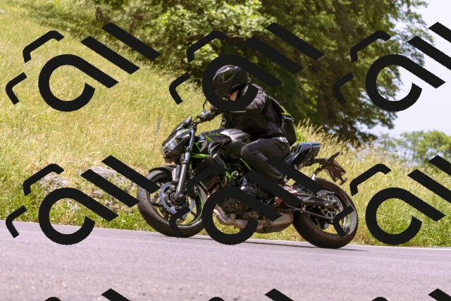 202506151155-_DSC9829_d1_