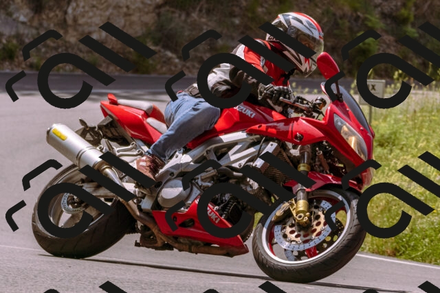 202506151155-_DSC9833_d1_