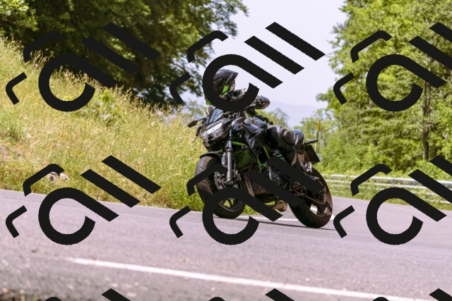 202506151157-_DSC9840_d1_