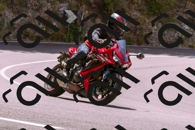 202506151200-_DSC9847_d1_