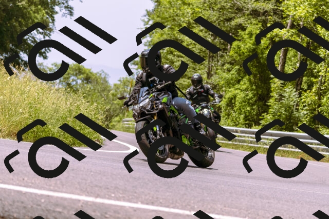 202506151200-_DSC9850_d1_