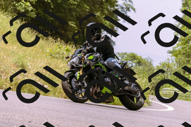 202506151200-_DSC9851_d1_