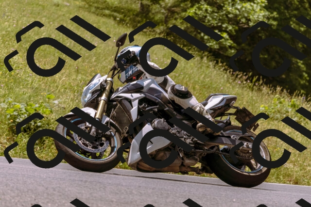 202506151202-_DSC9855_d1_