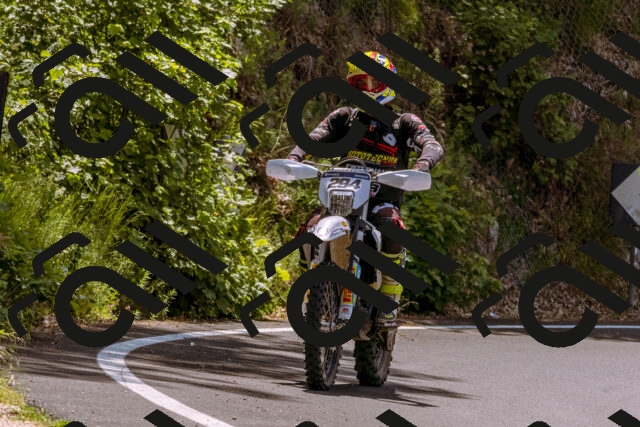 202506151202-_DSC9856_d1_