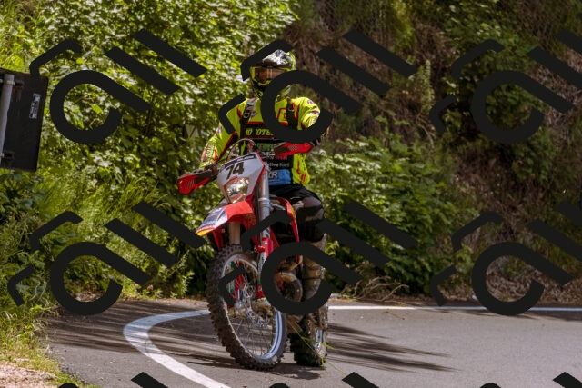 202506151202-_DSC9857_d1_